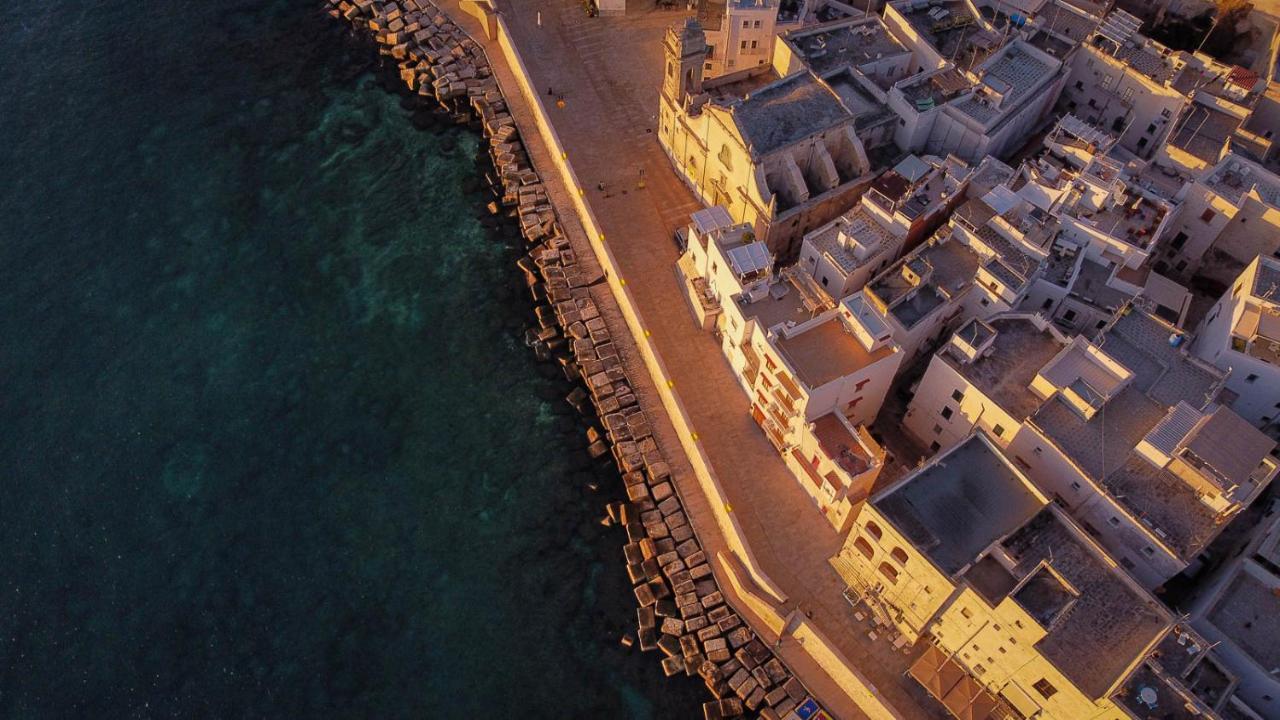 Diffuso Monopoli